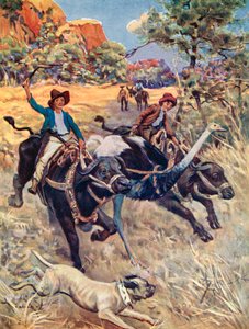 Illustration til den schweiziske familie Robinson